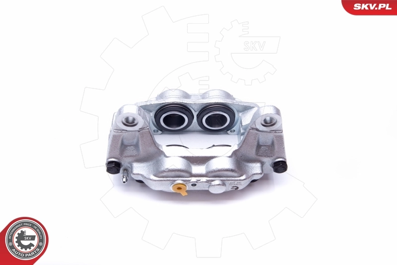 Brake Caliper 42SKV171