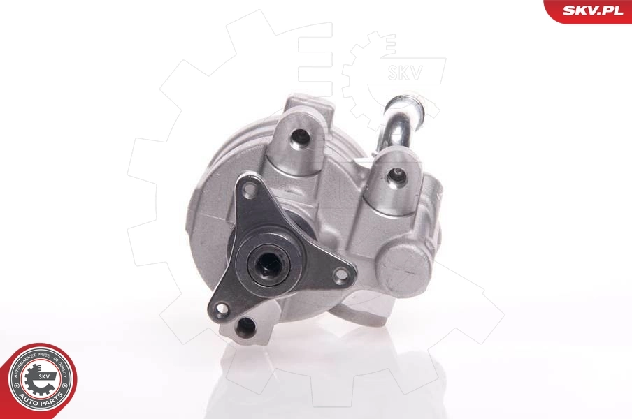 Hydraulic Pump, steering 10SKV157