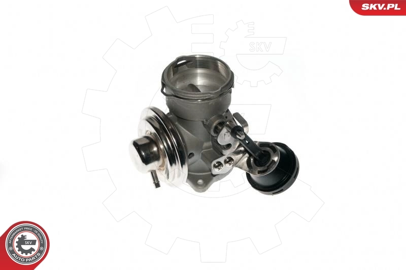 EGR Valve 14SKV090