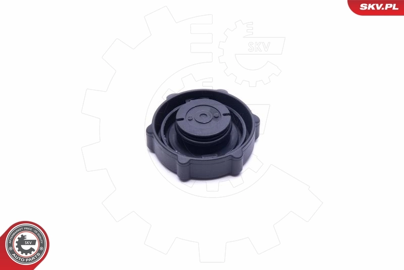 Seal Ring, power steering pump blanking plug 61SKV029