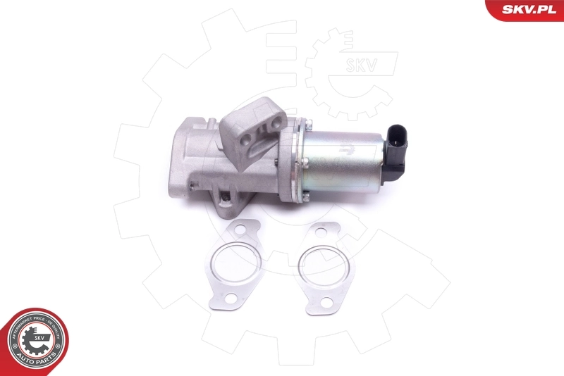 EGR Valve 14SKV212