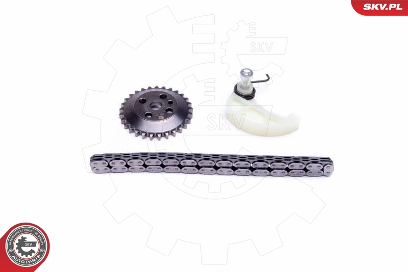Chain Kit, oil pump drive 21SKV109
