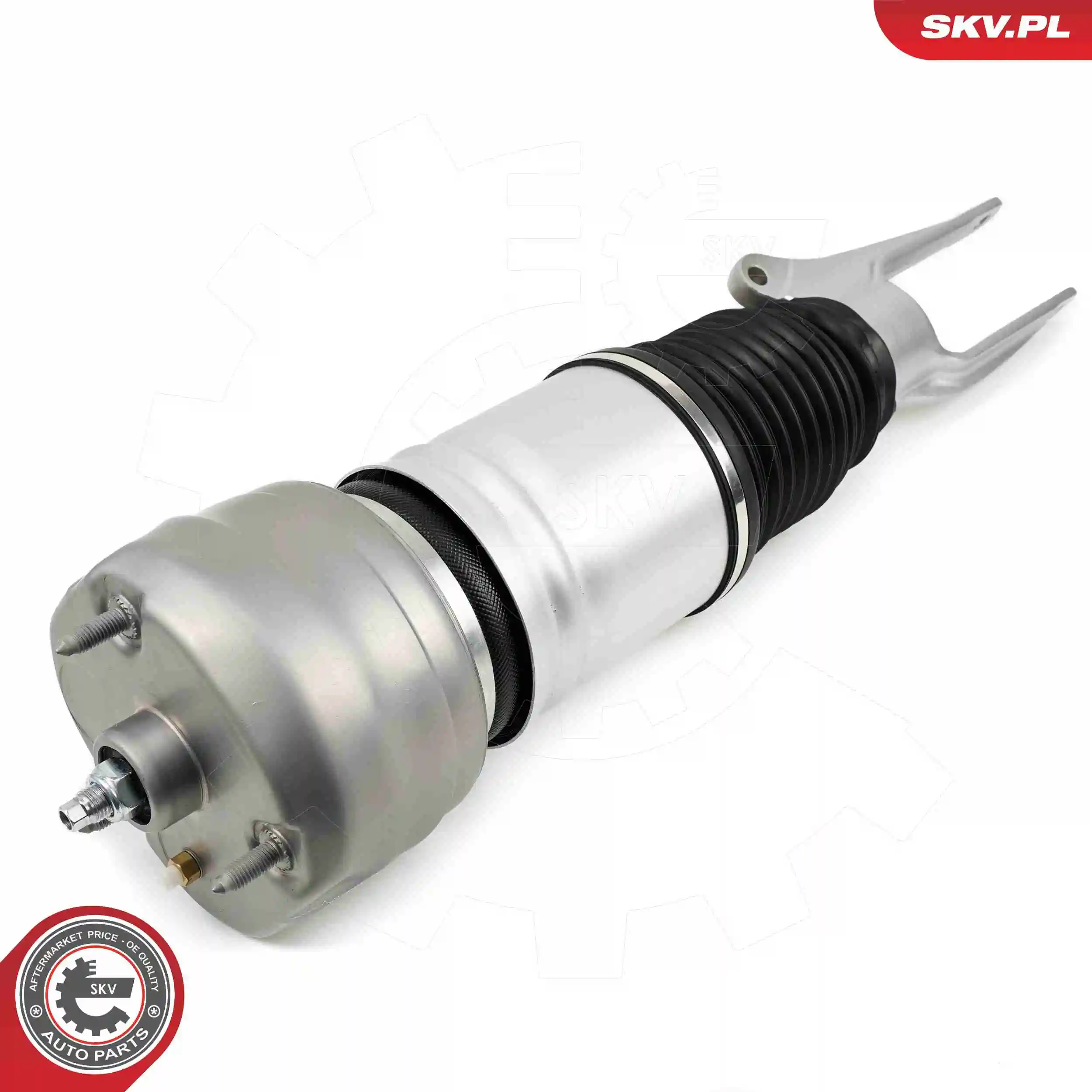 Air Suspension Strut 58SKV708