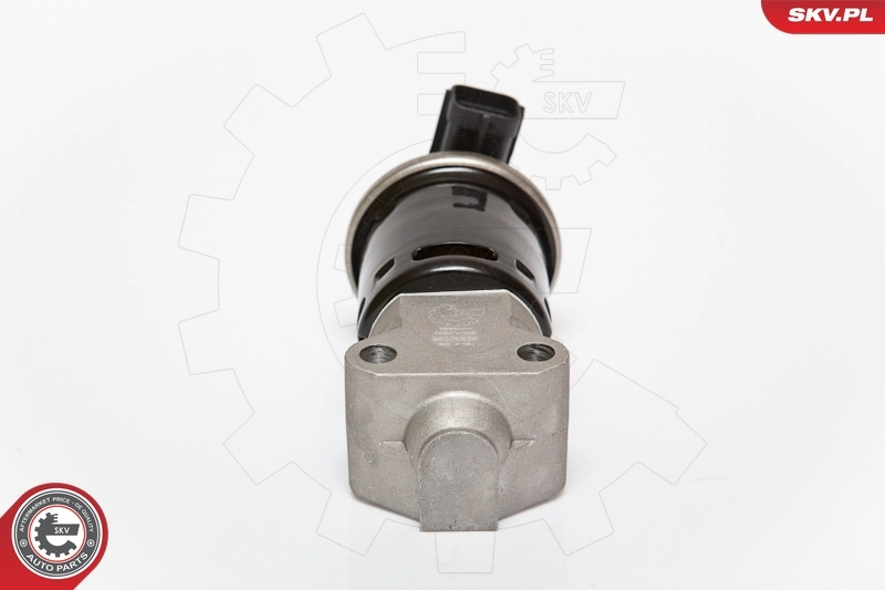 EGR Valve 14SKV059