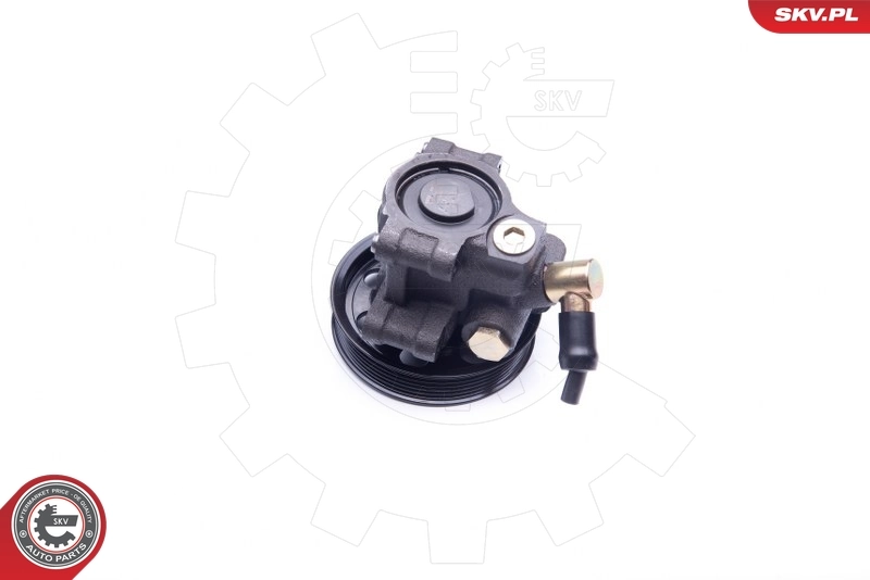 Hydraulic Pump, steering 10SKV260