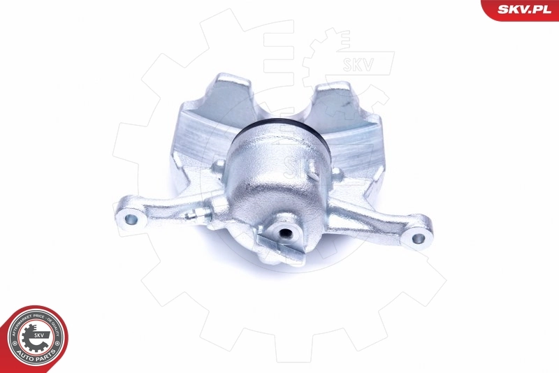 Brake Caliper 44SKV372