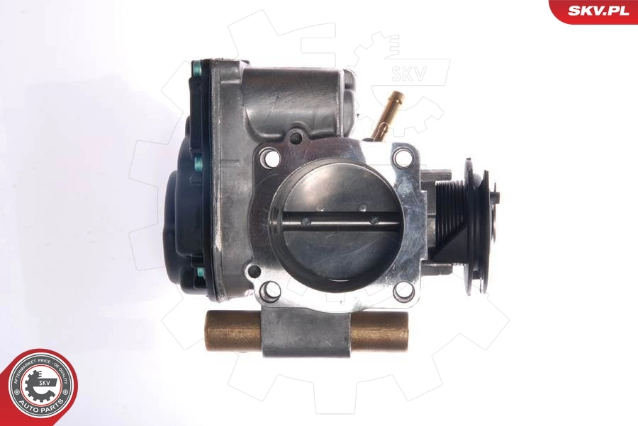 Throttle Body 12SKV018