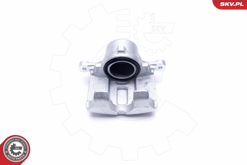 Brake Caliper 46SKV061