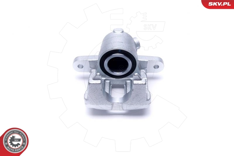 ESEN SKV 56SKV101 Brake Caliper