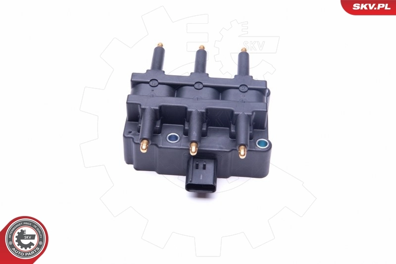 Ignition Coil 03SKV248