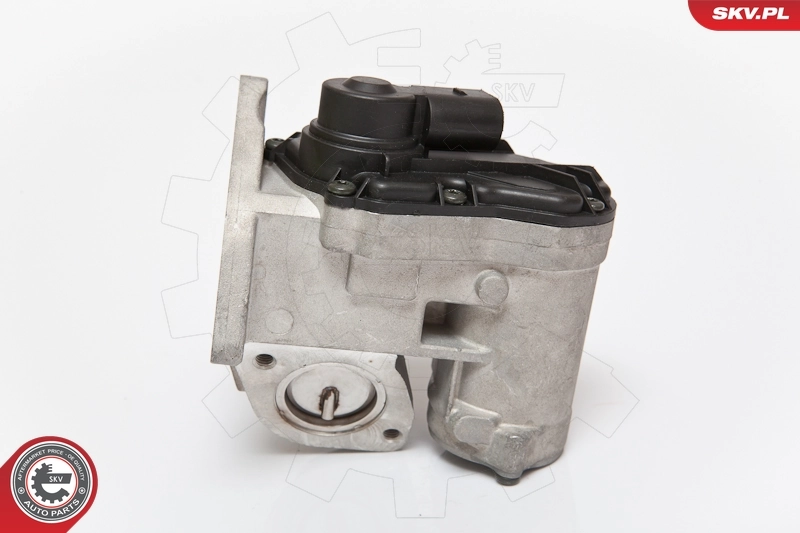 EGR Valve 14SKV086
