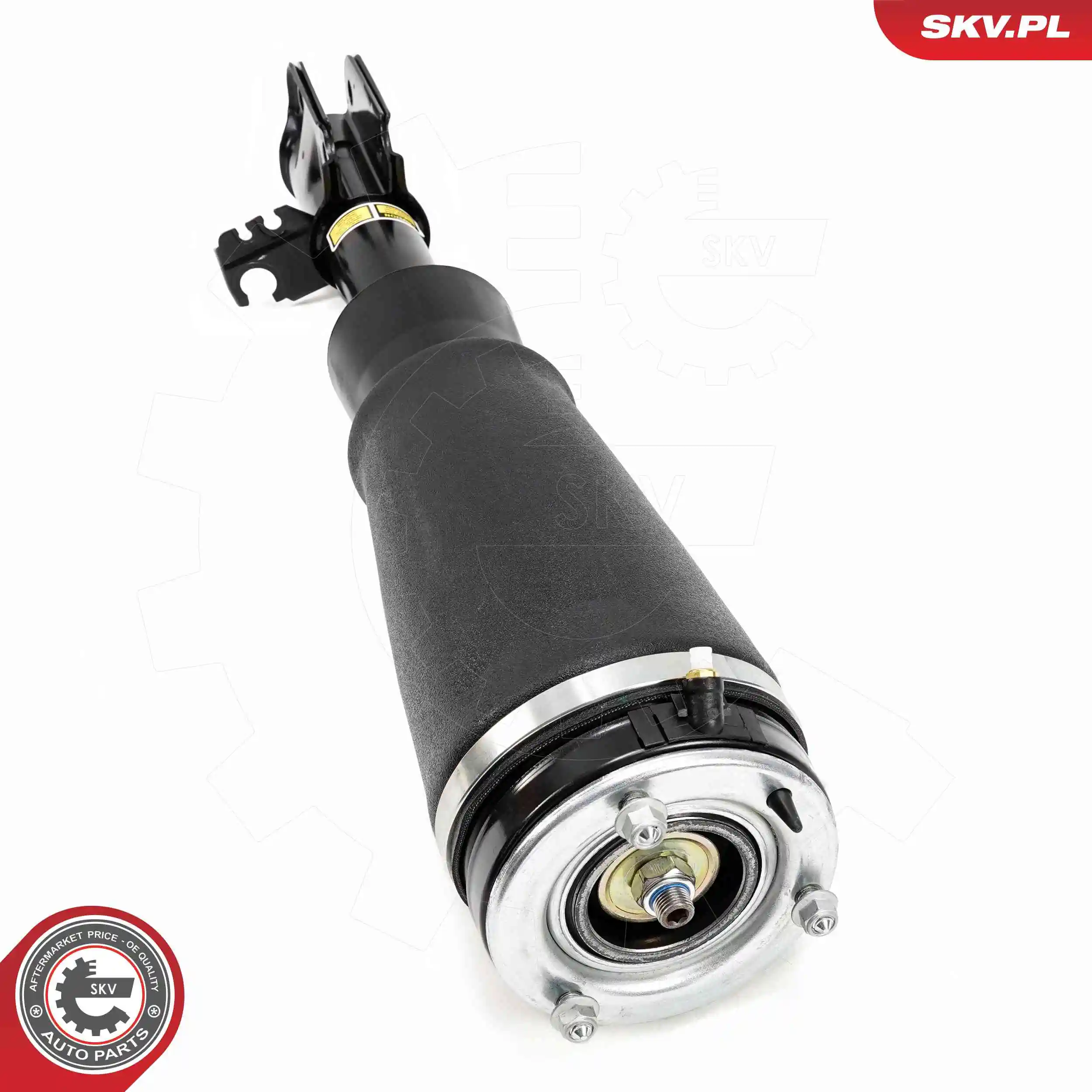 Air Suspension Strut 58SKV709