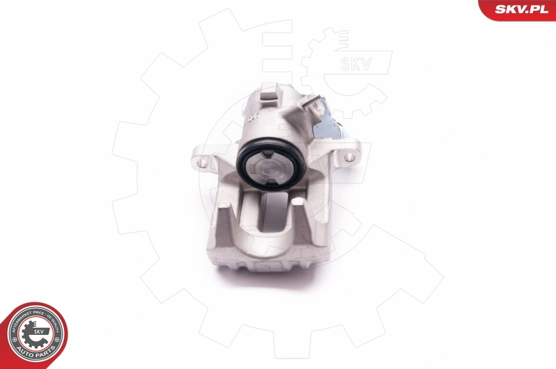 Brake Caliper 23SKV018