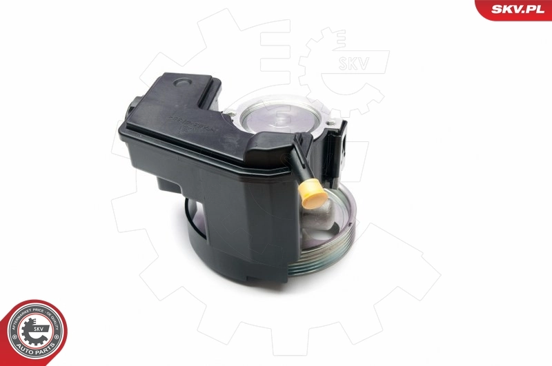 Hydraulic Pump, steering 10SKV231