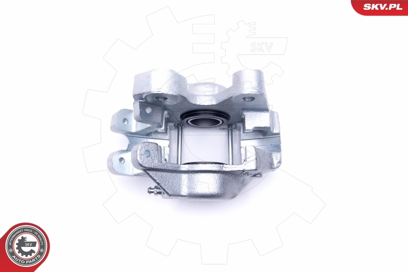 Brake Caliper 46SKV023