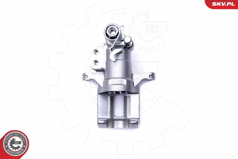 Brake Caliper 46SKV784