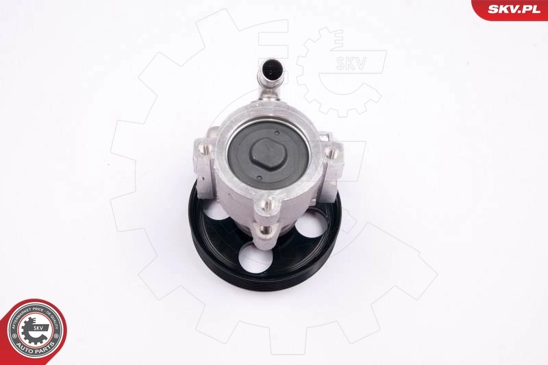 Hydraulic Pump, steering 10SKV174