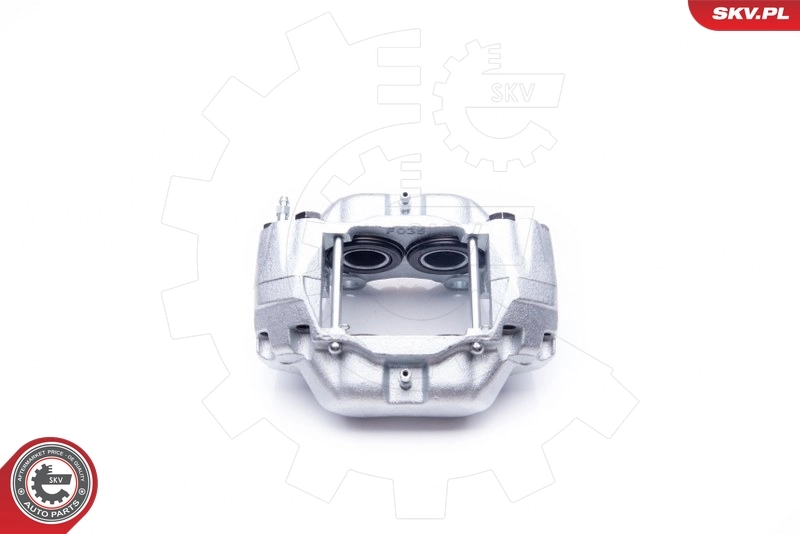 Brake Caliper 42SKV001