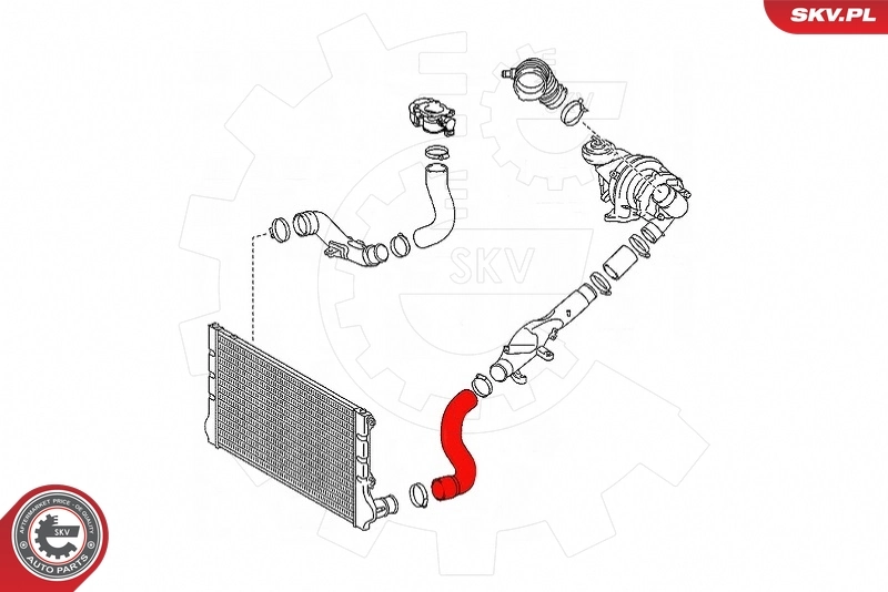 Charge Air Hose 43SKV349