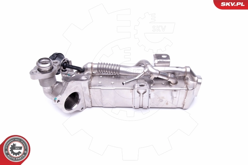 Cooler, exhaust gas recirculation 14SKV228