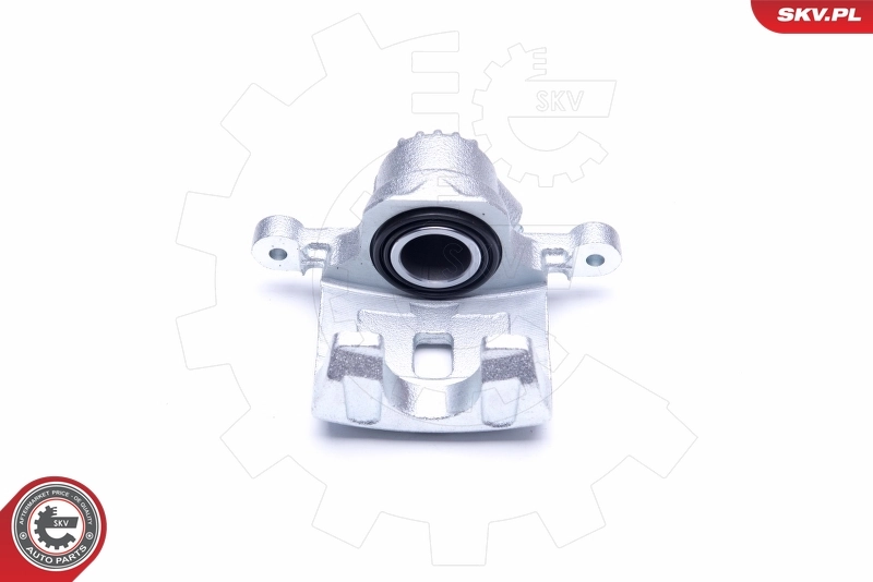 Brake Caliper 42SKV954