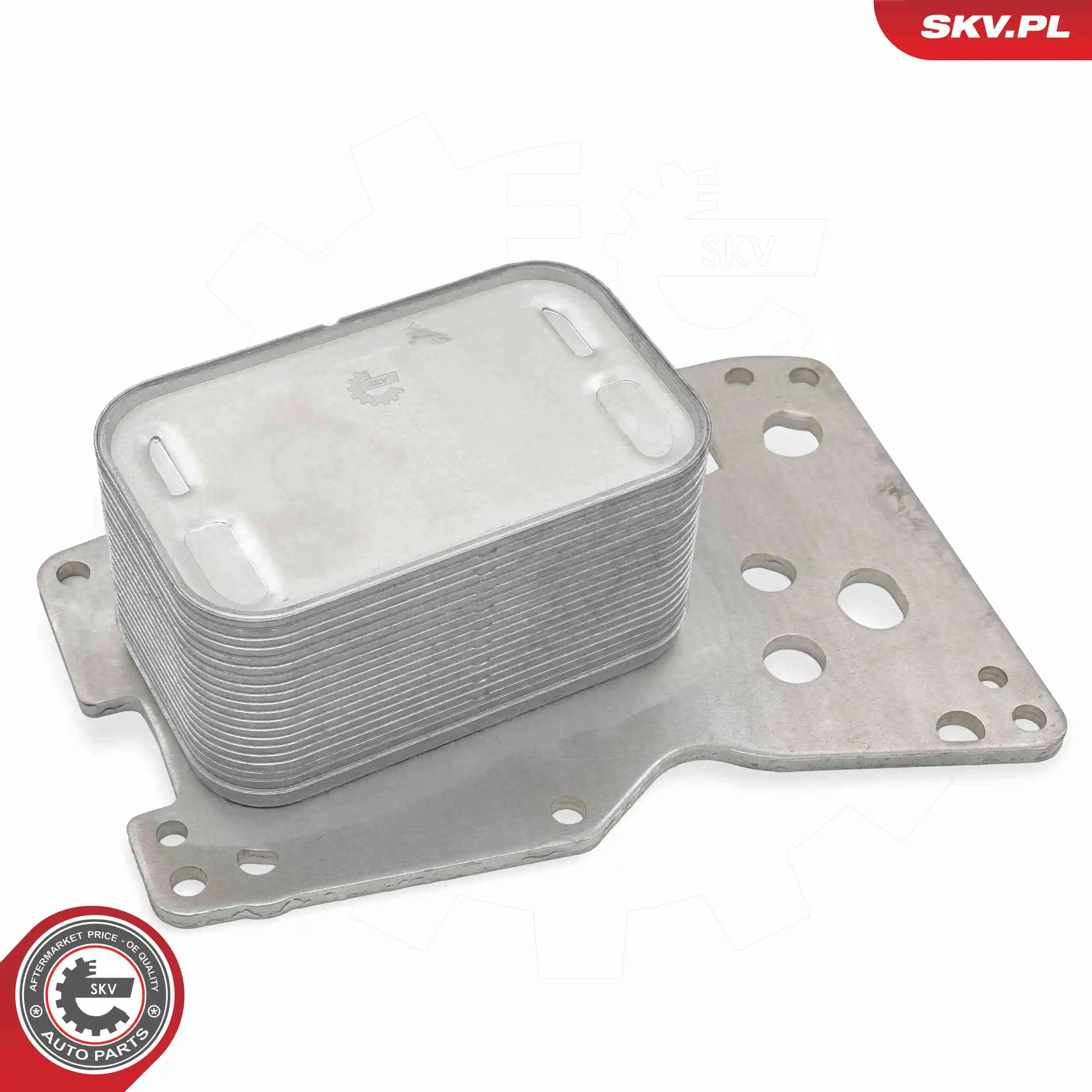 Oil Cooler, engine oil 31SKV332