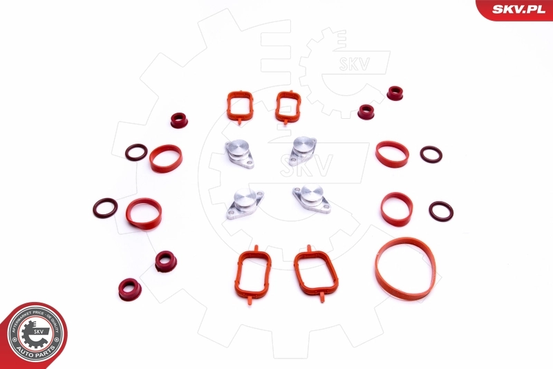 ESEN SKV 49SKV564 Repair Kit, intake manifold module