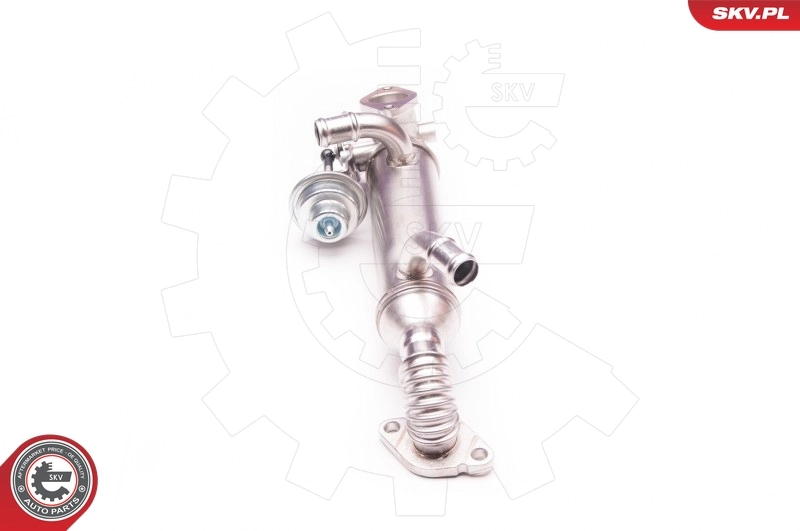 EGR Valve 14SKV119