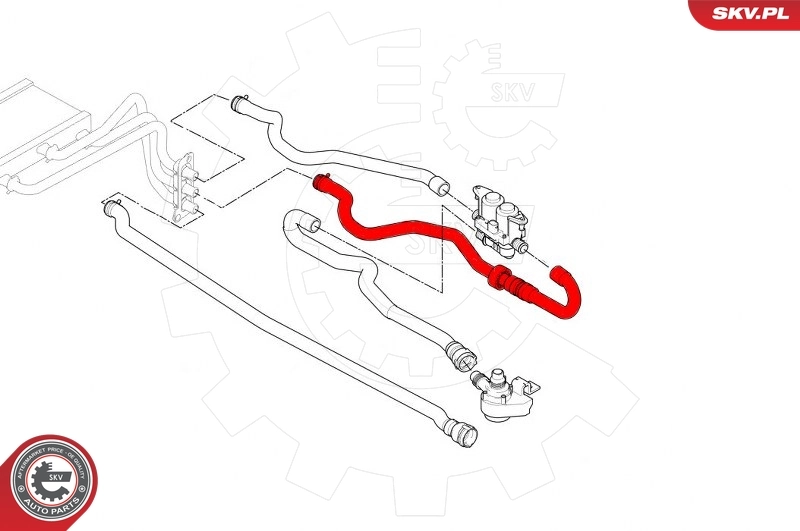 Radiator Hose 43SKV643