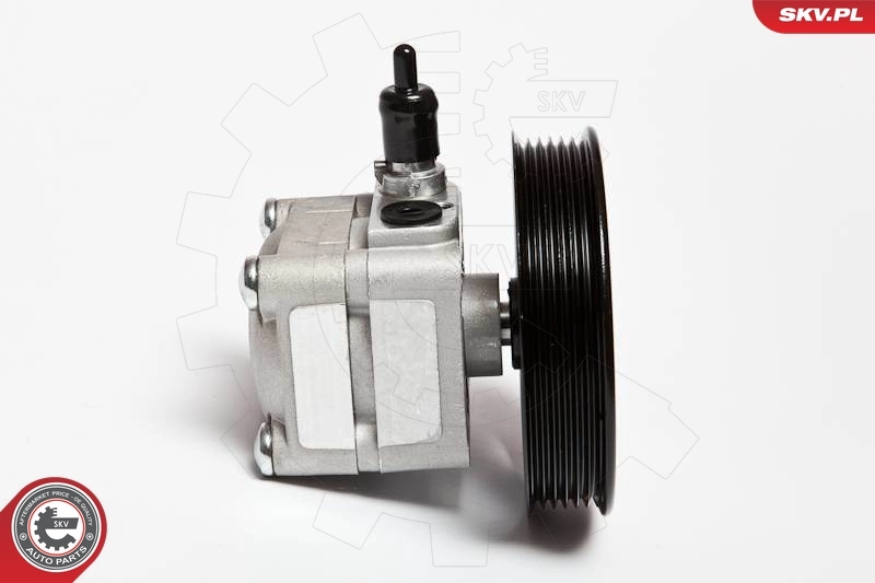 Hydraulic Pump, steering 10SKV010