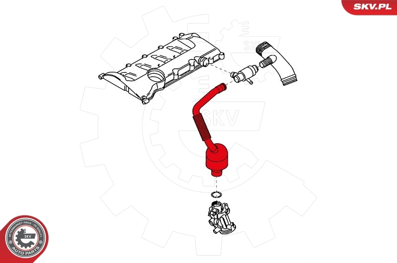 Hose, crankcase ventilation 31SKV133