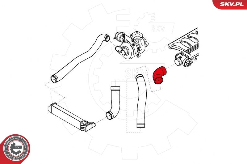Charge Air Hose 24SKV701