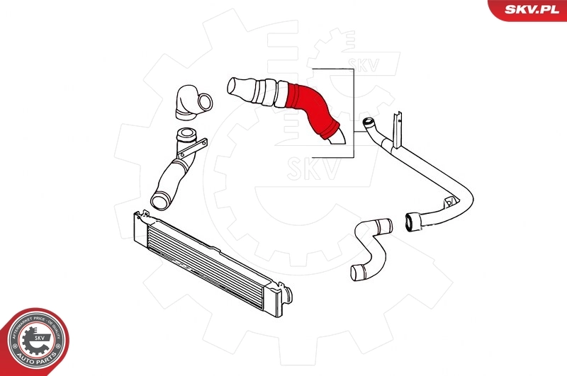 Charge Air Hose 24SKV819