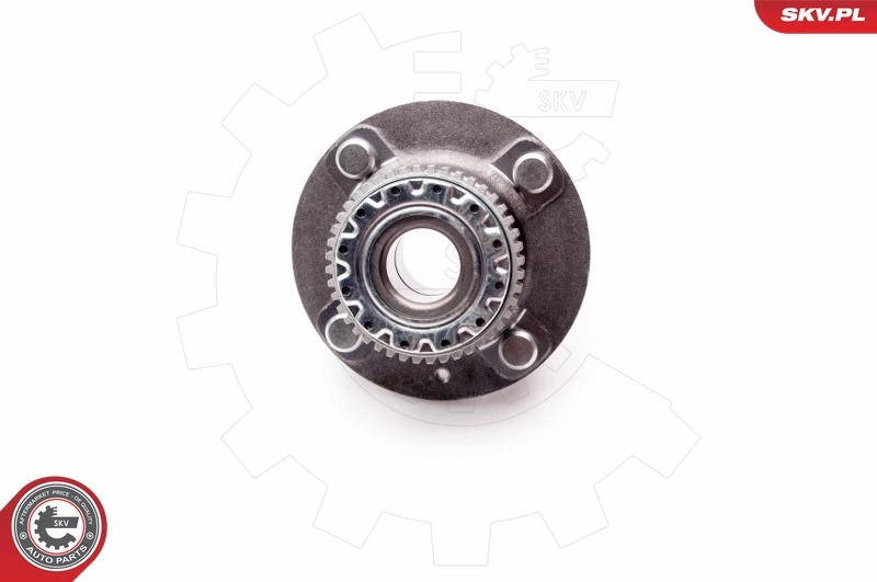 Wheel Bearing Kit 29SKV119