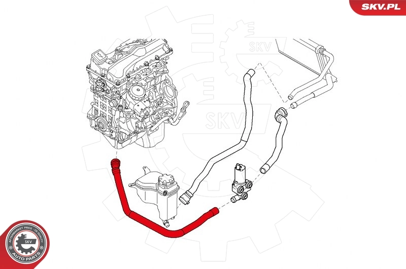 Radiator Hose 24SKV281
