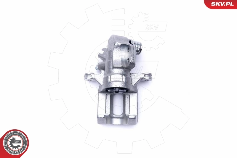 ESEN SKV 50SKV064 Brake Caliper