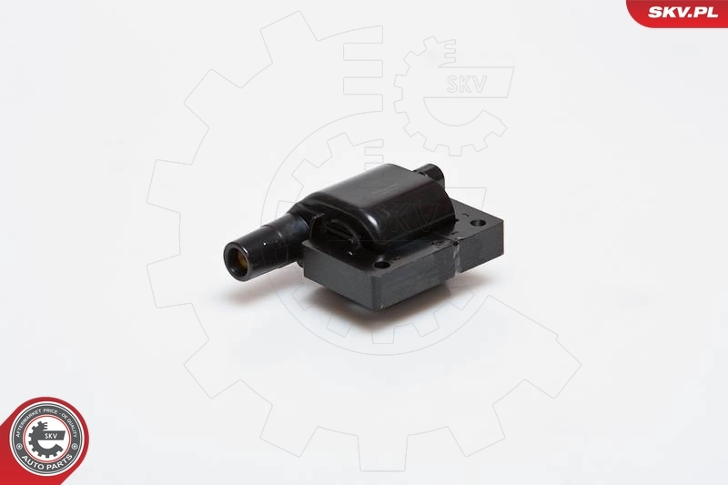 Ignition Coil 03SKV089