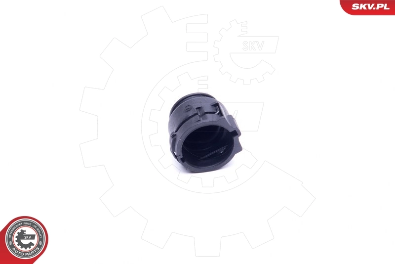 Sealing Plug, coolant flange 43SKV620