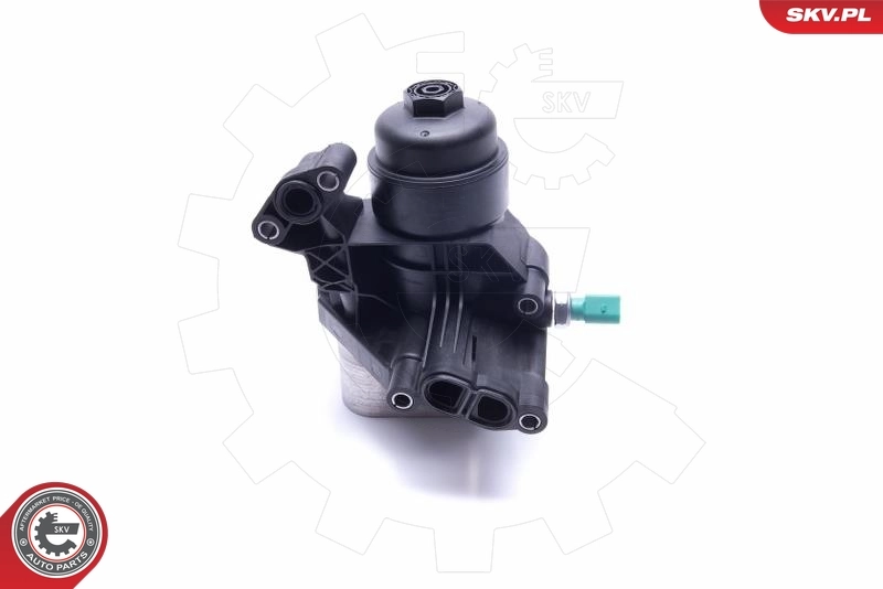 Oil Cooler, engine oil 31SKV169