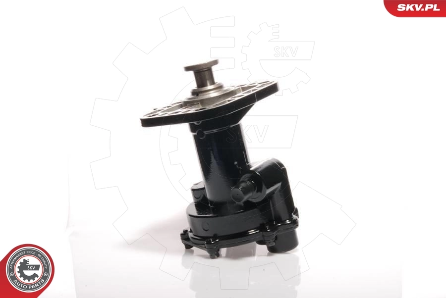 Vacuum Pump, braking system 18SKV011