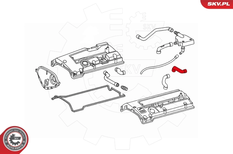 Hose, crankcase ventilation 31SKV116