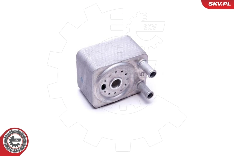Oil Cooler, engine oil 31SKV208