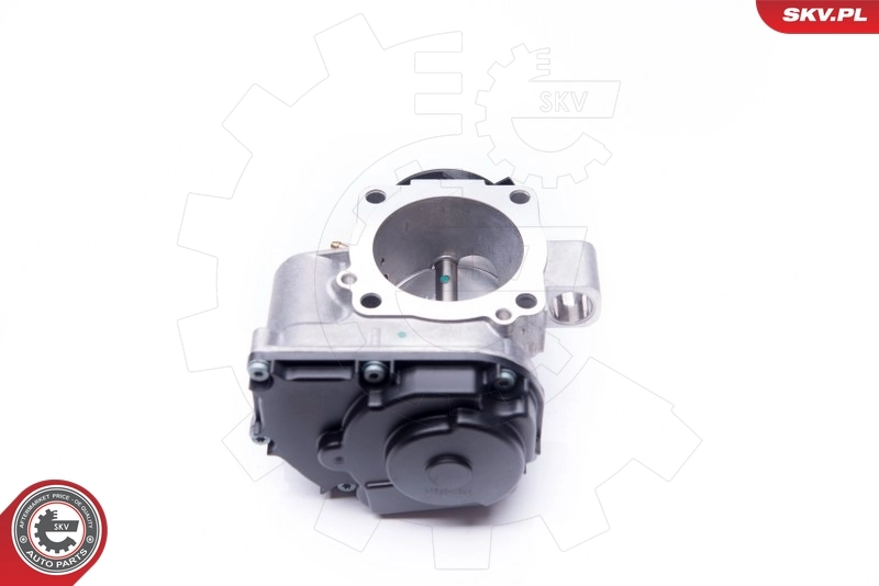 Throttle Body 12SKV035