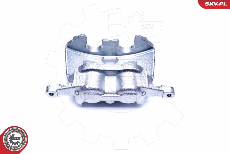 Brake Caliper 44SKV202