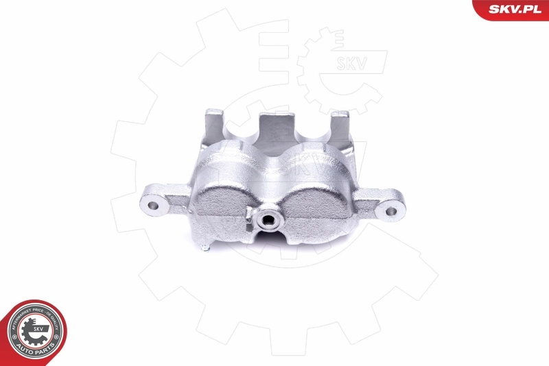 Brake Caliper 46SKV622