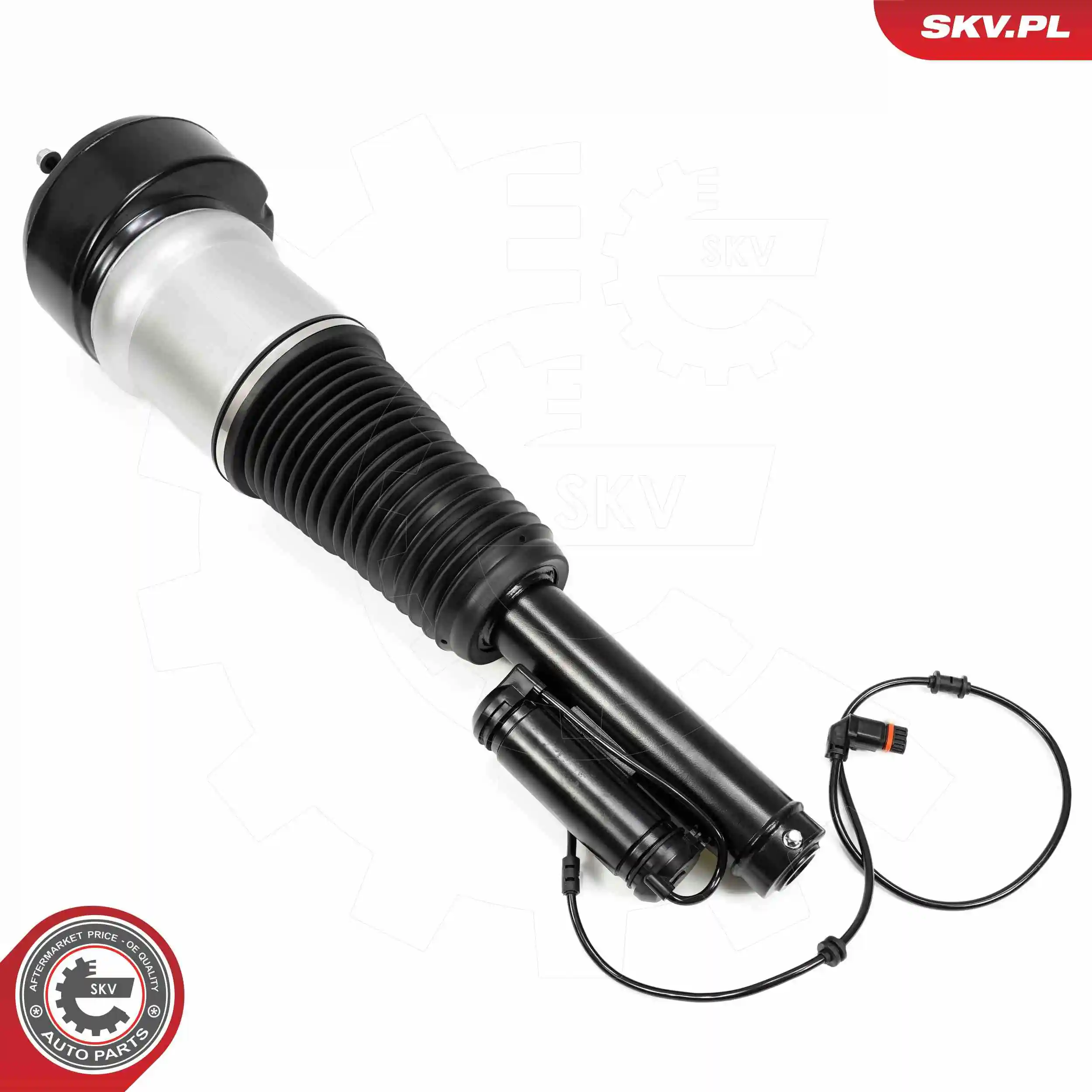 Air Suspension Strut 58SKV720