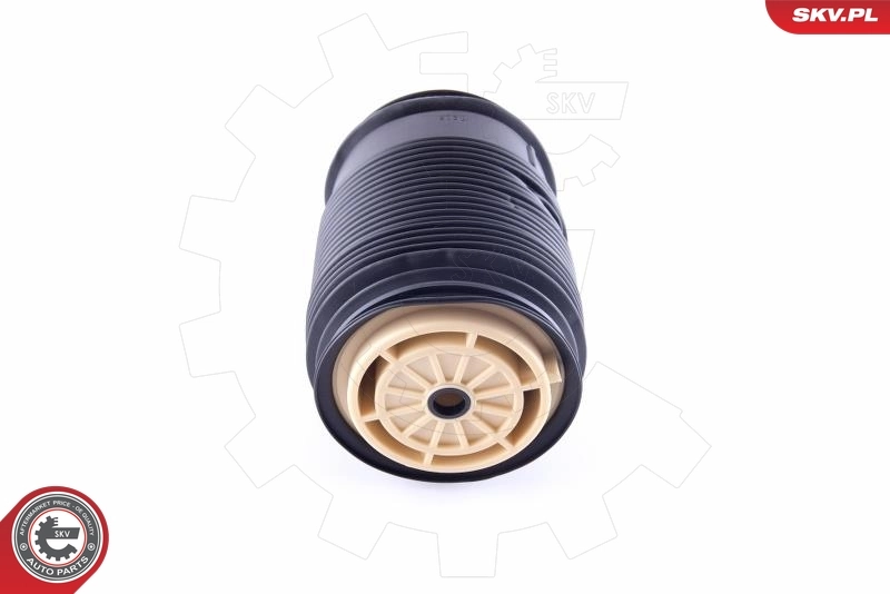 Air Spring, suspension 58SKV011