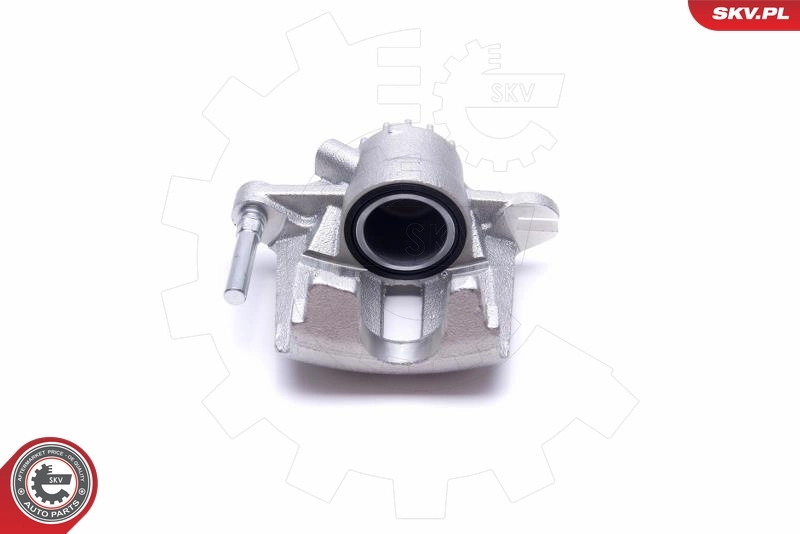 Brake Caliper 55SKV951
