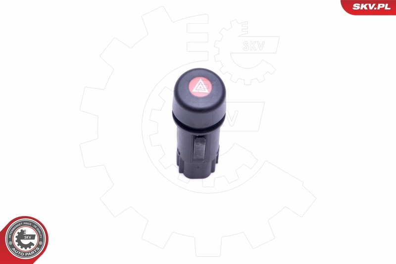 Hazard Warning Light Switch 36SKV718
