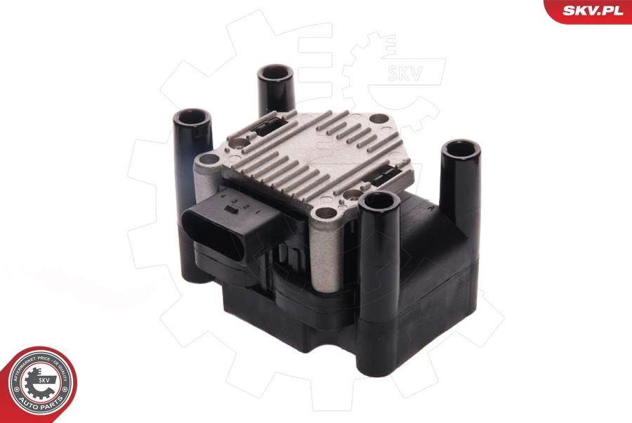 Ignition Coil 03SKV007